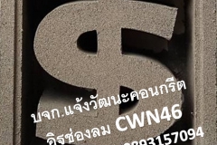 CWN46-2